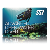 SSI - Advanced Open Water Diver - Einzelunterricht