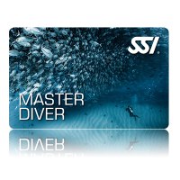 SSI - Master Diver